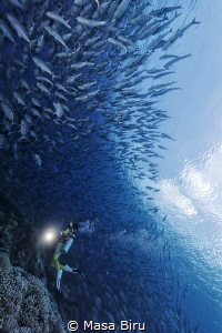 diver and jackfish by Masa Biru 